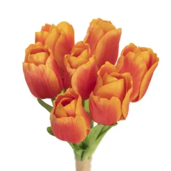 Dutch Tulip Bouquet x 7 Orange (30cmH)