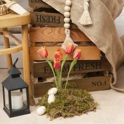 Dutch Tulip Bouquet x 7 Orange (30cmH)