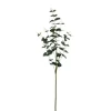 Eucalyptus Baby Blue Leaf Spray Grey (90cmH)