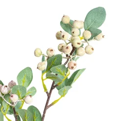 Eucalyptus White Gumnut Spray Green (62cmH)