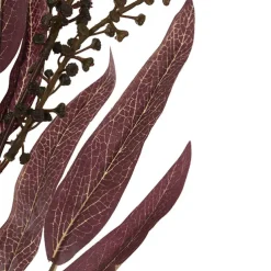 Eucalyptus Willow Leaf & Seed Spray Burgundy (77cmH)