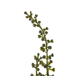 Eucalyptus Willow Leaf & Seed Spray Green (77cmH)