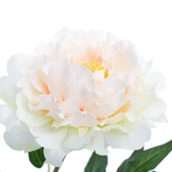 Evelyn Peony Spray Champagne (70cmH)