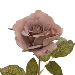 Event Velvet Rose Short Stem Sienna Brown (11cmDx35cmH)