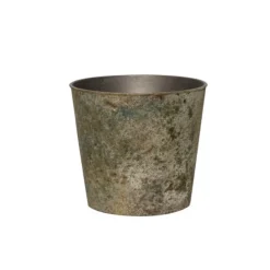 Flora Atlantis Pot Round (15.5Dx13cmH) Moss