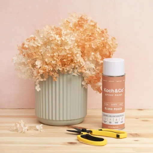 Floral Event Craft Spray Paint Blush Peach (340g)