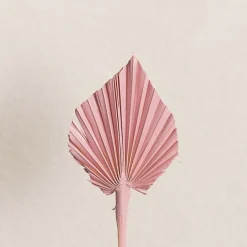 Floral Event Craft Spray Paint Pretty Pink (340g)