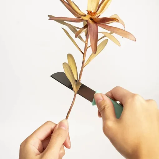 Florist Bud Knife Pack 5 Assorted Colours (16.5cm)