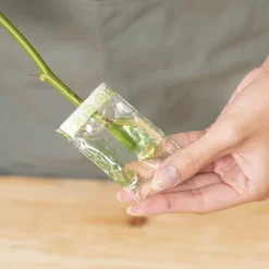 FLOSPAC 5g Sachets Carton 500