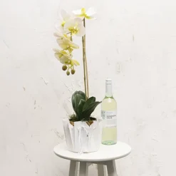 Flower Bouquet Designer Pod Pack 10 White (13.8x14.4Hcm)