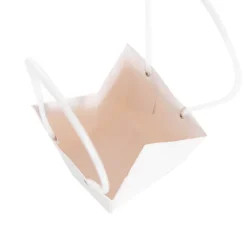 Flower Carry Bag Kraft White Medium Pk5 (12x17x20cmH)