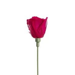 Flower Head Stem Extenders Pack 10 Green (1.1cmDx20cmH)