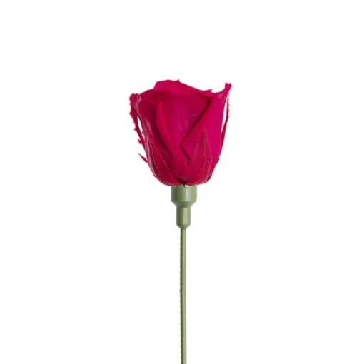 Flower Head Stem Extenders Pack 10 Green (1.1cmDx20cmH)