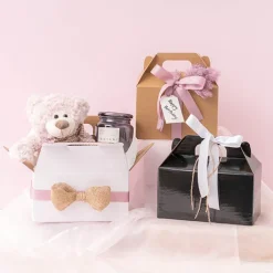 Gable Box Flat packed Large White (24x13x13Hcm)