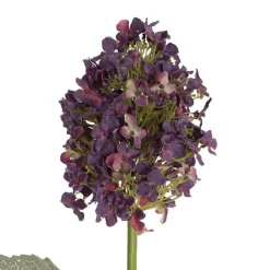 Gatsby Tower Hydrangea Dark Purple (71cmH)
