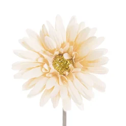 Gerbera Aztec Buttercream (10cmDx54cmH)