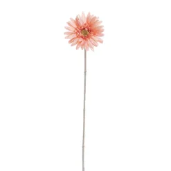 Gerbera Aztec Soft Peach (10cmDx54cmH)