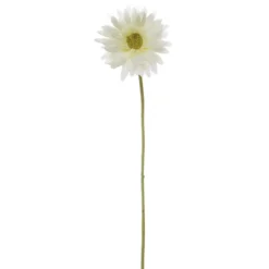 Gerbera Aztec White (10cmDx54cmH)