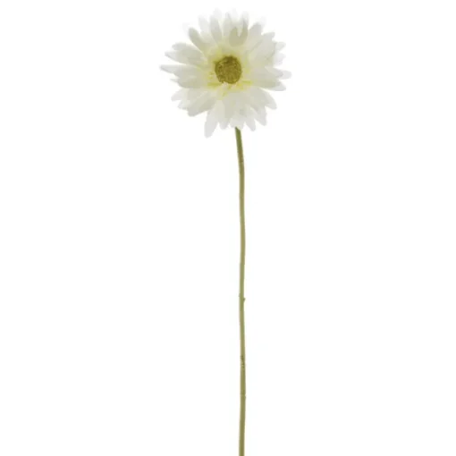 Gerbera Aztec White (10cmDx54cmH)
