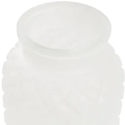 Glass Ann Bottle Vase Frosted White (14x16cmH)