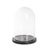 Glass Cloche Dome Terrarium Black MDF Base (23.5Dx30cmH)