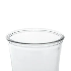 Glass Country Vase Concaved Sided Clear (10DX17cmH)