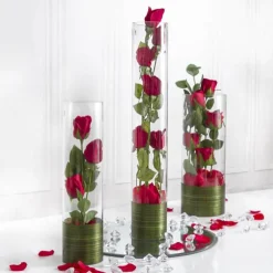 Glass Cylinder Vase Clear (12Dx22cmH)