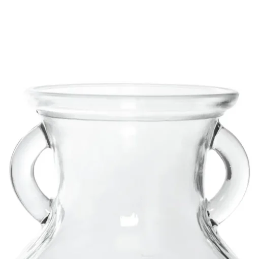 Glass Ginger Lily Vase With Handle Clear (9X12X15cmH)