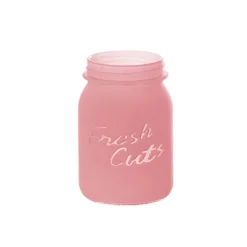 Glass Mason Jar Fresh Cuts Posy Vase Pink (9.5Dx15cmH)
