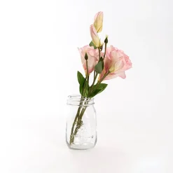 Glass Mason Jar Medium Clear (8.5x13.5cmH)