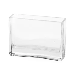 Glass Rectangle Vase Clear (6x18x12cmH)