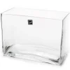 Glass Rectangle Vase Clear (20x10x15cmH)
