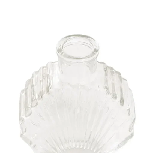 Glass Shell Shape Bottle Vase Clear (8x3.5x10.8cmH)