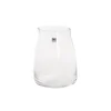 Glass Stella Physique Posy Vase Clear (9.5TDx11.5BDx16cmH)