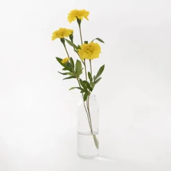 Glass Tall Milk Bottle Clear (5.5x16cmH)