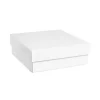 Gourmet Box Square Small White (24x24x9cmH)