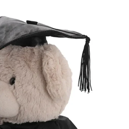 Graduation Teddy Bear Alfred Plush Toy Soft Brown (25cmST)