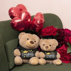 Graduation Teddy Bear Arnold w Congrats Top Brown (20cmST)