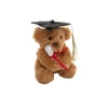 Graduation Teddy Bear Harvey Plush Soft Toy Brown (15cmST)