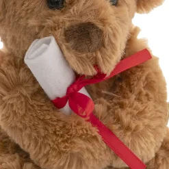 Graduation Teddy Bear Harvey Plush Soft Toy Brown (15cmST)