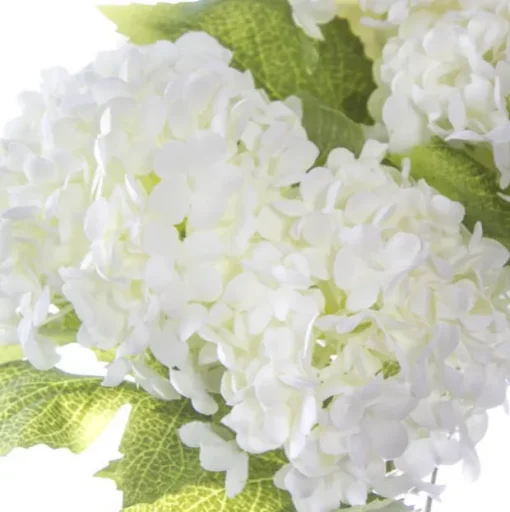 Guelder Ball Bunch x7 Heads White (30cmH)