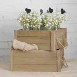 Gypsophila Baby's Breath Bunch White (30cmH)