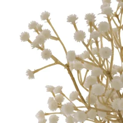 Gypsophila Baby's Breath Bunch x 3 Champagne (62cmH)