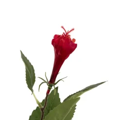 Hibiscus Flower x 2 Head Spray Red (11cmDx61cmH)