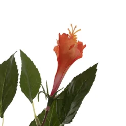 Hibiscus Flower x 2 Head Spray Peachy Orange (11cmDx61cmH)
