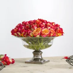 Holly Chapple Pillow Guard 6