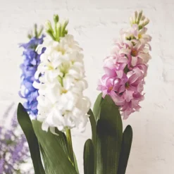 Hyacinth Flower Spray Soft Pink (44cmH)