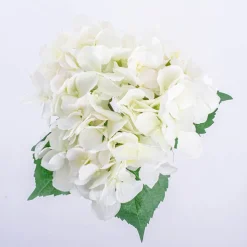 Hydrangea Victoria Bouquet White (32cmH)