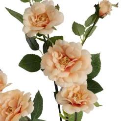 Iceland Rose Spray x 7 Head Peach (72cmH)