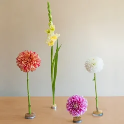 Ikebana Stayput Kenzan Flower Holder No.4 Round Small (4cmD)